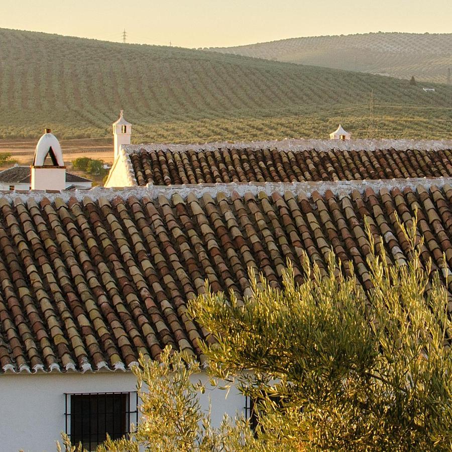 Cortijo Alzamigaja Villa Archidona Ngoại thất bức ảnh