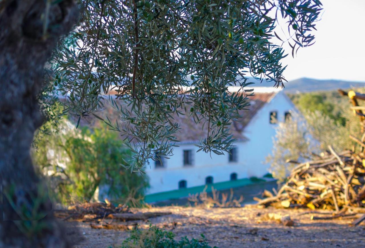 Cortijo Alzamigaja Villa Archidona Ngoại thất bức ảnh