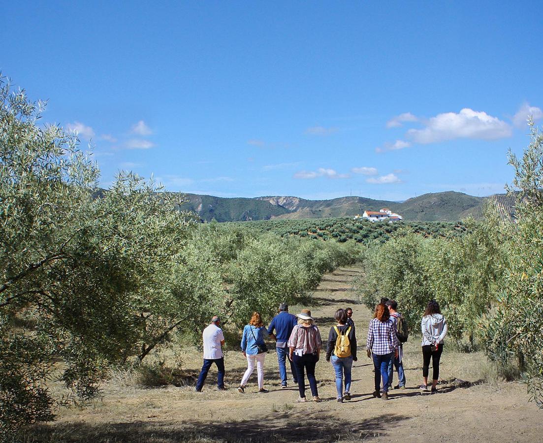 Cortijo Alzamigaja Villa Archidona Ngoại thất bức ảnh