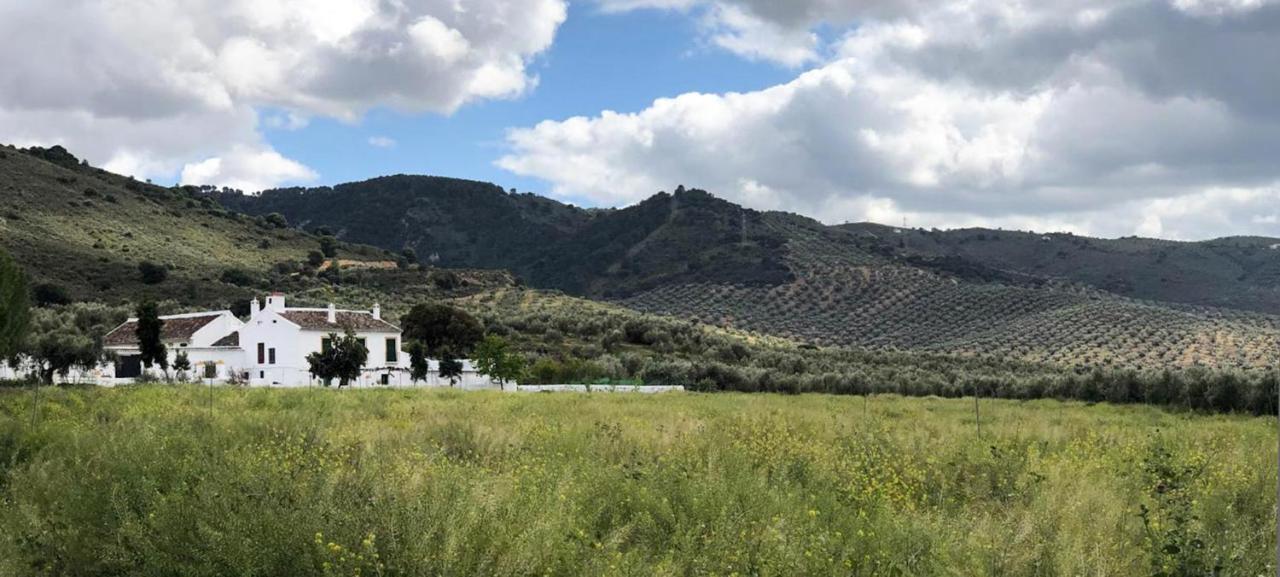 Cortijo Alzamigaja Villa Archidona Ngoại thất bức ảnh