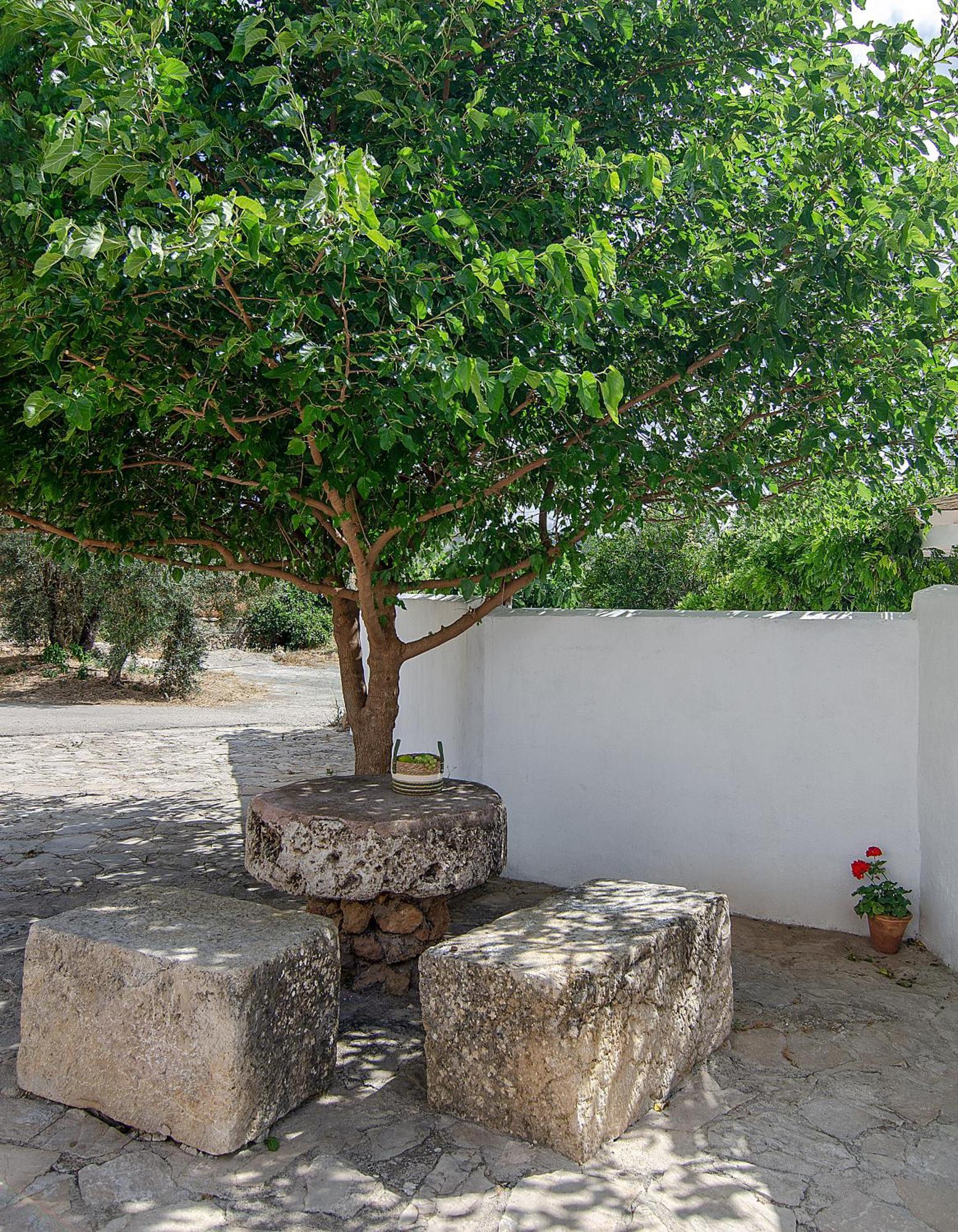Cortijo Alzamigaja Villa Archidona Ngoại thất bức ảnh